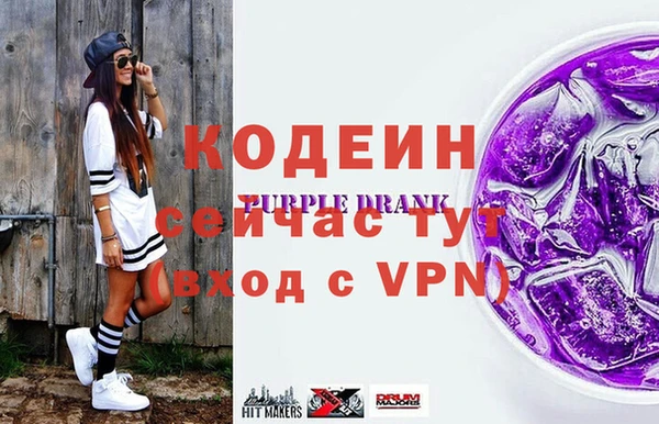МДПВ Каменка